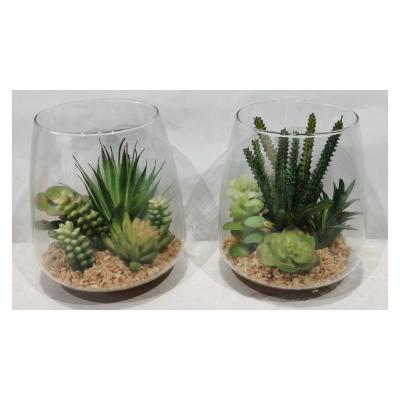 China Factory Wholesale Realistic Artificial Succulents Assorted Glass Succulents Artificial Succulent With Glass Vase for sale