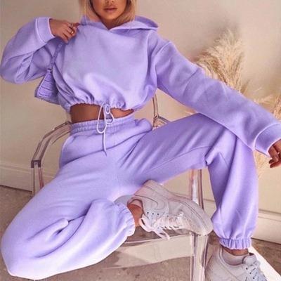 China Breathable Spring Custom Logo Solid Tracksuit Hooded Cotton And Hoodie Crop Sweatpants Fits Women Casual Jogger Sweatsuit for sale