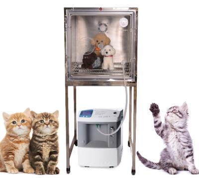 China For Animal Treatment: Portable Stable Purity Veterinary Equipment Veterinary Medical Oxygen Making Machine For Veterinary Hospital for sale