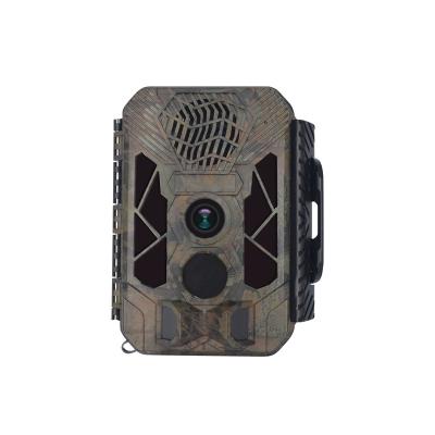 China Birds and Animals Multi Sound Speaker Camera 1080p Hd Video Recorders Waterproof Attractive 20 MP Trail Hunting Camera for sale