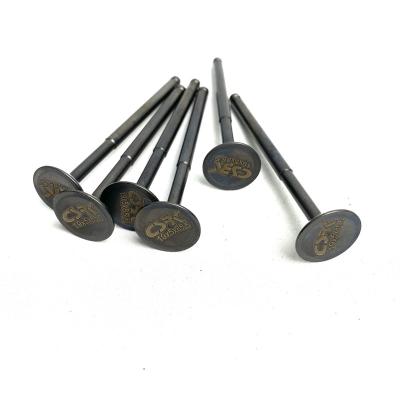 China Hot Sales Csrk Engine Valve Motorcycle Stainless Steel Racing Performance Engine Valve 19x5x85.5 for sale