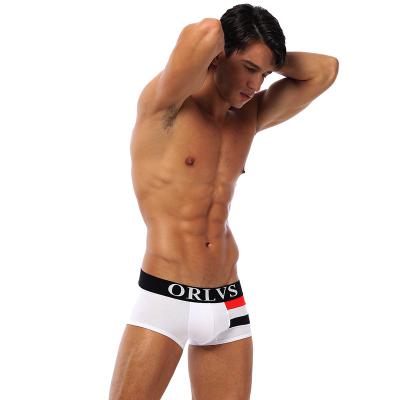 China Comfortable Cotton Anti-Static Men And Breathable Elastic Underwear, Boxer Shorts for sale