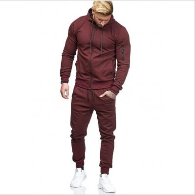 China New Fashionable Men's Casual Wear Decoration Breathable Fitness Zipper Suit Sports Customized Mens Tracksuits Set for sale