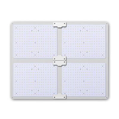 China Seed Starting Grow Tent Plant Growth Samsung Diode Lm301b 200W 3600K Led Grow Light for sale