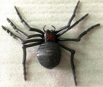 China Black Rubber TPR Halloween Spider Flashing Toy for sale