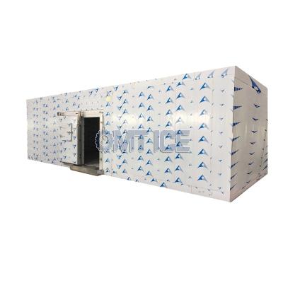 China Container OMT 50CBM Cold Room For Frozen Vegetables Storage Room Freezer for sale