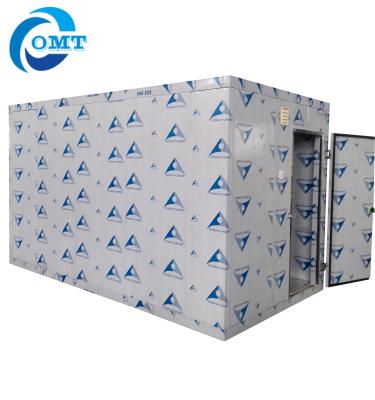 China Hotels Customized Cold Container Freezer Refrigerator Room Cold Storage For Fish, Vegetable And Ice for sale