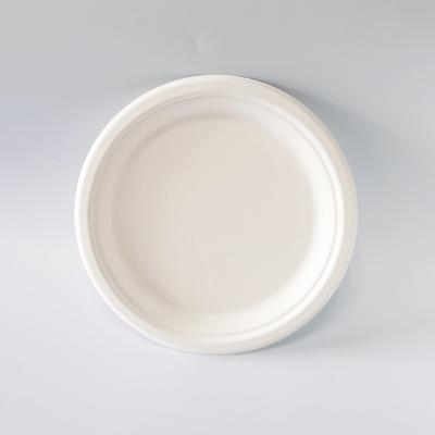 China Minimalist Eco - Friendly Biodegradable Disposable Sugarcane Paper Pulp Plates For Party for sale