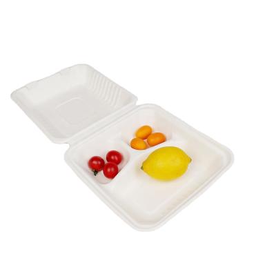 China B024 Meal Box Takeaway Disposable Sugar Cane Container Bagasse Food Container Microwave Disposable Safe for sale