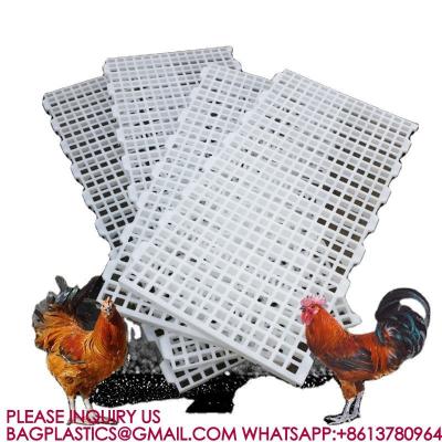 China Poultry Husbandry Animal Plastic Flooring Poultry Poultry Plastic Slat Plastic Slats Flooring for sale