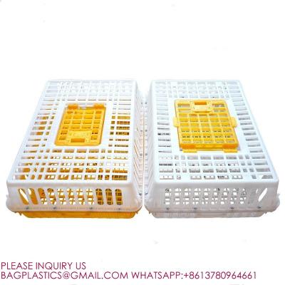 Китай Poultry Crates Poultry Carrier Boxes Plastic Transport Chicken Cage Poultry Carrier Crate продается