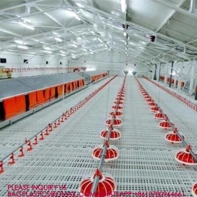 中国 100% Pure PP Broiler 40mm Slatted Floor System In Poultry Duck Broiler 100% PP UV Poultry Slat Flooring 販売のため