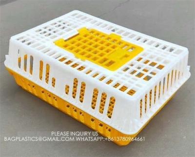 中国 Chicken Transport Cage Adult Birds Cage Cage Poultry Transport Cage Box Transportation Crate 販売のため