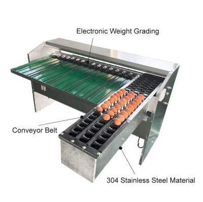 China Automatic Egg Sort Grade Weighing And Sorting Egg Machine Egg Grading Process Line Scale Grader Mini Sorter Egg Machine Commercial Egg Sorting Machine Automatic Egg Grading and Packing System for sale