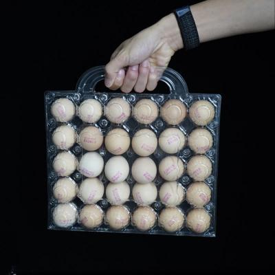 China Transparent Plastic Egg Trays Egg Box Free Shipping Plastic Egg Tray with Handle Hot Selling Lightweight Portable Egg Carrier Durable 28/30-Egg Trays Handheld Blister PET Plastic High Visibility Egg for sale