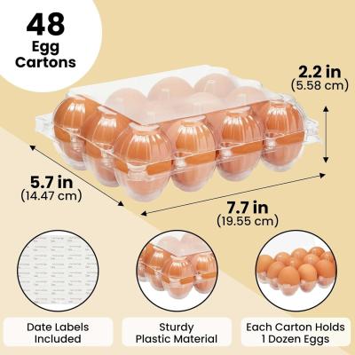 China Clear Plastic Egg Cartons - Clear Containers With Date Labels - Bulk Egg Storage Set - Reusable Storage Containers - 12-Count, Pack Of 48 for sale