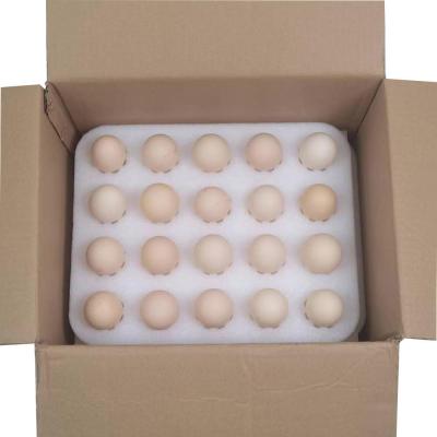 China Quality Assurance Custom EPE Egg Foam Tray Oem Wholesale Egg In Egg Carton Eco-Friendly Corrugated Cardboard Egg Paper Packaging Box Customizable Shape with Foam Inserts Transport Display for sale