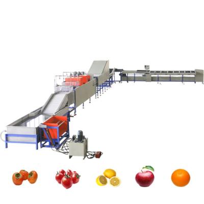 China Fruit Processing Plant Fruit Washing Waxing Drying And Weight Grading Machine Production Sizing Line for sale