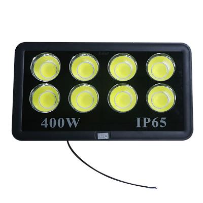 China Residential Outdoor LED Flood Light 400W LED Waterproof Spot Reflector COB Lighting LED Chip AC85-265V IP65 for sale