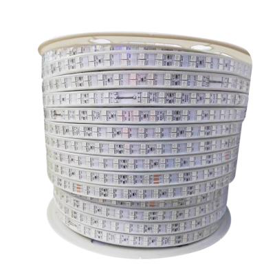 China Hotel 110v 220v RGB Led Strip 5050 Double Row 120led/m Flexible Ribbon Lights for sale