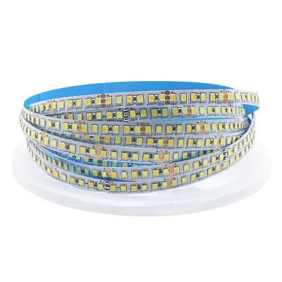 China Double Color Hotel SMD 2835 CW/WW Dual Color LED Strip TDC 12V 24V White Flexible 180leds/m Strip Light for sale