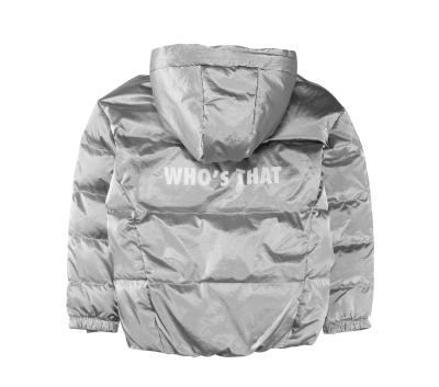 China Sustainable Women Winter Coats Autumn Women Clothing Women Stripper Winter And Bubble Reflective Coat for sale