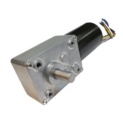 China Fully Enclosed Self-lock BLDC Worm Gearbox Motor 4058-3650 Long Life 5840 Worm Gear High Torque Motor for sale