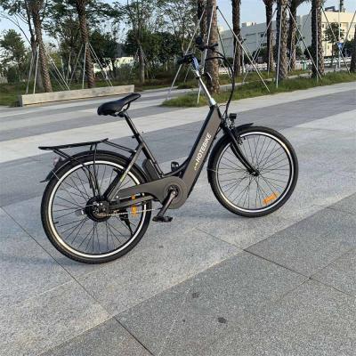 China Powerful Electric Bikes A3AL24 Electric Bicycle 36V 250W Electric Hub Running Type Motor Electric Bike for sale