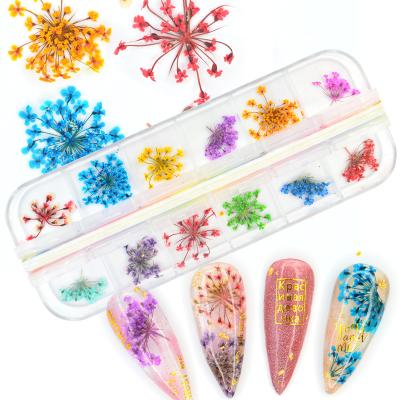 China Each set of 12 pieces of dry flower nail art decoration nail stickers 3d flower nail art flower new product for sale