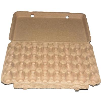 China 100% Quail Egg Tray Paper Box Packaging Paper Biodegradable Pulp Paper Egg Carton Biodegradable Pulp Fiber Egg Tray for sale