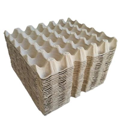 China 100% Lower Price Bagasse Egg Tray 100% Biodegradable Sugarcane Pulp Disposable Egg Box for sale