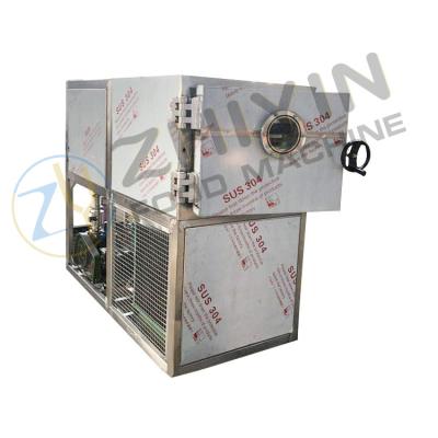 China Frozen Dried Jujube Processing Equipment Freeze Drying Machine Te koop