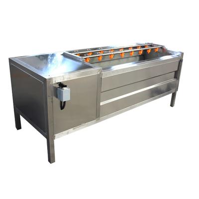 China PLC 2000kg/H Ginger Garlic Skin Peeling Machine de la peladora de la cebolla en venta