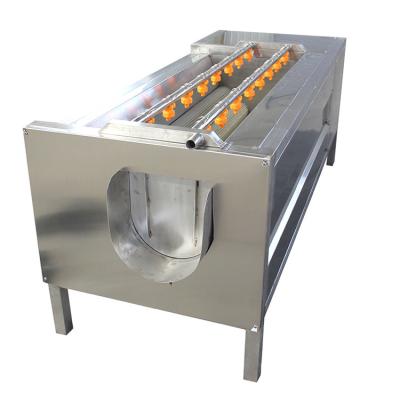 China Nylon Roller Brush Potatoes Garlic 800kg/H Vegetable Peeling Machine for sale