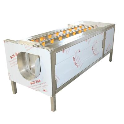 China Roller Rootbeet Industrial Carrot Peeler 1400kg/H Root Vegetable Peeling Machine for sale