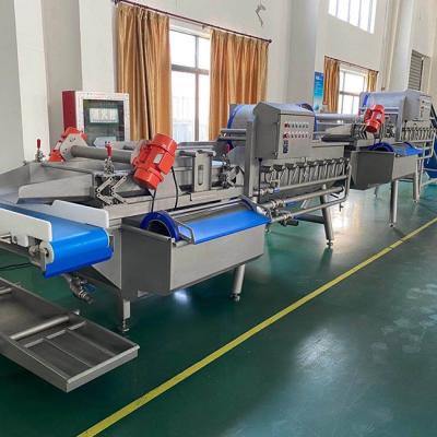 China Frucht-Blattgemüse-Waschmaschine 380v 2000kg/H zu verkaufen