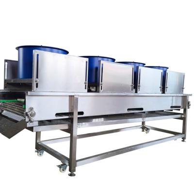 China 304 Stainless Steel Potato Chips Drying Machine Fruit Vegetable Drying Machine for sale