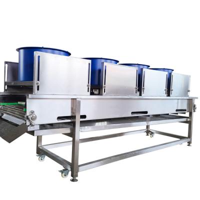 China Automatic Continuous Dates Fruit Vegetable Drying Machine 1500 Kg/H 16.6kw for sale