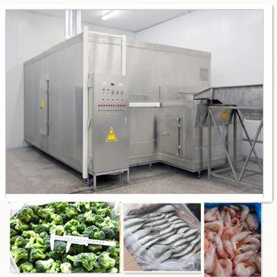 Cina refrigerazione SUS304 del tunnel della macchina delle patate fritte congelata 500kg/H in vendita