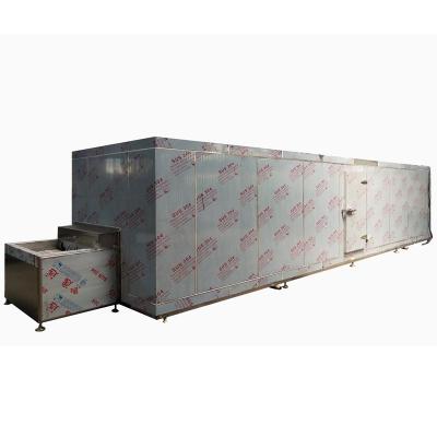 China High Accuracy Blast Freezer Food Individual Quick Freezer 100kg/H for sale