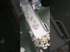 dumpling making machine