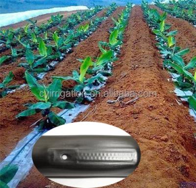 China Agriculture Planting Price Porcelain Drip Irrigation Hose For Trees / Drip Tape for sale