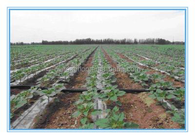 China Water-saving Irrigation System PE Drip Irrigation Tape Price Underground Irrigation Tape for sale