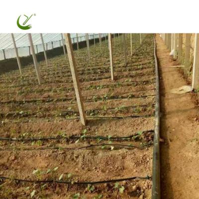 China Plant Greenhouse Greenhouse Drip Irrigation System Price Micro Watering /garden Water System For Agriculture Irrigation for sale