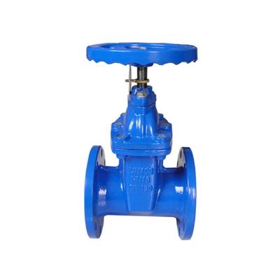 China DIVERSE factory direct sales standard elastic cast iron gate valve flange high quality gate valve for sale