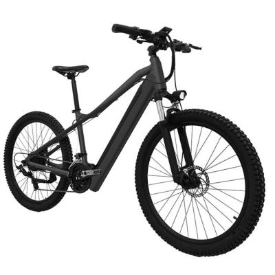 China Electric Bike Steel Motor Electric Bicycle Fat Tire Long Range E Bike for sale