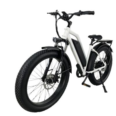 China High Quality Aluminum Alloy Battery 48v 750w Professional Dismountable E Bike Electric Bicycle for sale