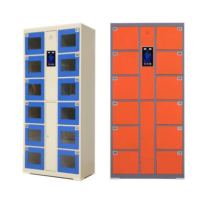 China Steel Pool 12 Doors Moisture Proof Locker Beach Parcel Locker / Locker With Touch Screen for sale