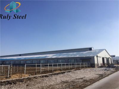 China Large Span Steel Poultry House Prefab House Building Construction à venda