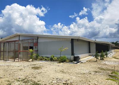 China El acero de la casa de las aves de corral estructura la estructura de acero constructiva de Warehouse de la casa de la paloma en venta